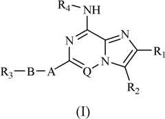 Figure BDA0000051855290000031
