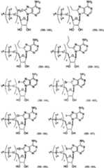 Figure imgf000054_0001