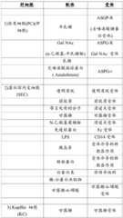 Figure BDA0002627493280000591