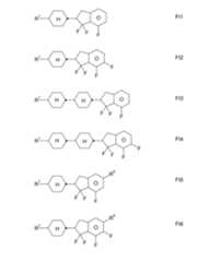 Figure 2024079817000069