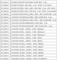 Figure BDA0004078918960001881