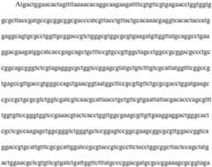 Figure PCTCN2021139177-appb-000011