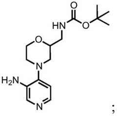 Figure BDA0001412716210001654