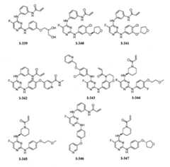 Figure 112016119396583-pat00109