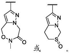 Figure BDA0002911816760000562