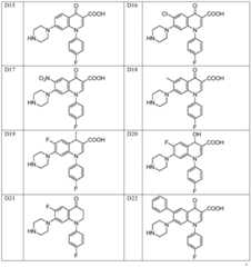 Figure FDA0003852874890000061