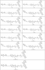 Figure PCTCN2022073822-appb-000362