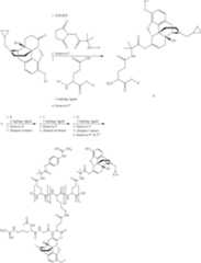 Figure US09808452-20171107-C00399