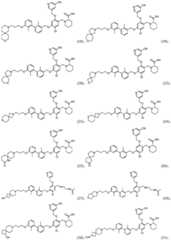 Figure FDA0003976647310000021