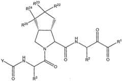 Figure imgf000561_0001