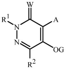 Figure imgf000002_0001