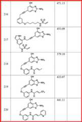 Figure DEST_PATH_IMAGE095