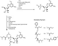 Figure imgf000041_0001