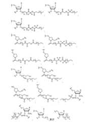 Figure 2023500681000167