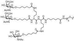 Figure imgf000174_0003