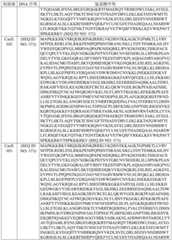 Figure BDA0003627552160002361