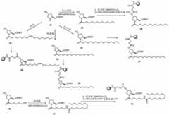 Figure BDA0003746740800001511