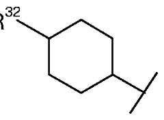 Figure imgf000032_0004