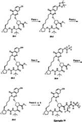 Figure imgf000076_0001