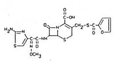 Figure imgf000007_0001
