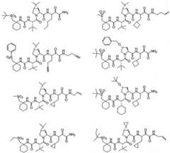 Figure imgf000314_0001