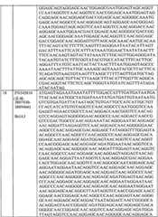 Figure BPA0000175368630000331