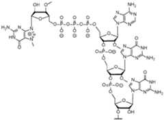 Figure imgf000173_0002
