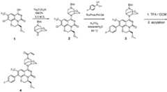 Figure imgf000744_0001