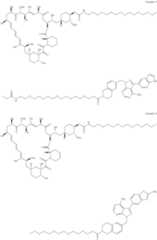 Figure US11364300-20220621-C00332