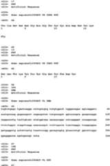 Figure imgb0029