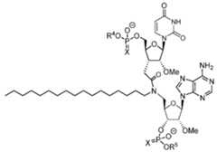 Figure imgf000063_0002