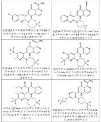 Figure 2025513455000041