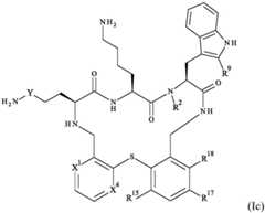 Figure FDA0003308108640000031