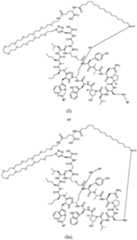 Figure imgf000046_0001