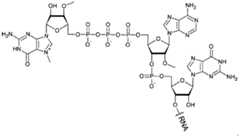 Figure imgf000040_0002