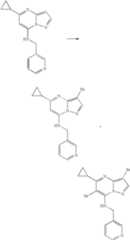 Figure US07119200-20061010-C01840