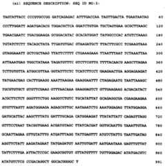 Figure imgf000061_0002