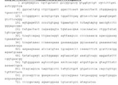 Figure imgf000054_0003