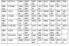 Figure 2022505647000020