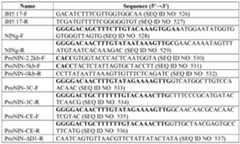 Figure imgf000076_0001