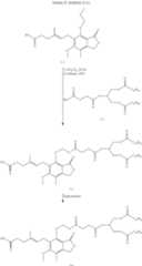 Figure US11304954-20220419-C00243