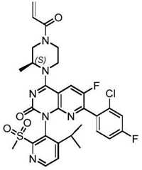 Figure BDA0002861043520000812