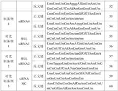 Figure PCTCN2022105340-appb-000038