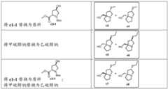 Figure PCTCN2022136857-appb-000053