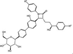 Figure S2006800243473C00161