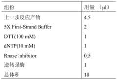 Figure PCTCN2019076697-appb-000002