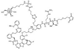 Figure imgf000483_0001