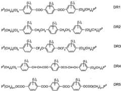 Figure 112010051363261-pct00012