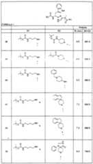 Figure imgf000078_0001