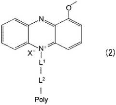 Figure FDA0003570169990000022